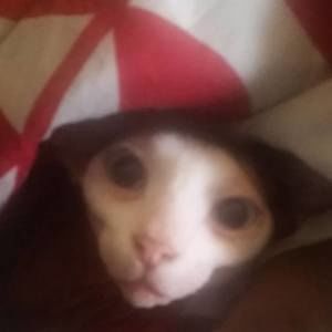 Meet your Posher, Tina